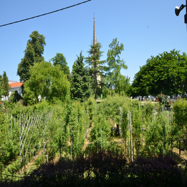Offres de location Appartement Bordeaux 33200